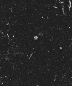 PP 5974 Nero Marchina